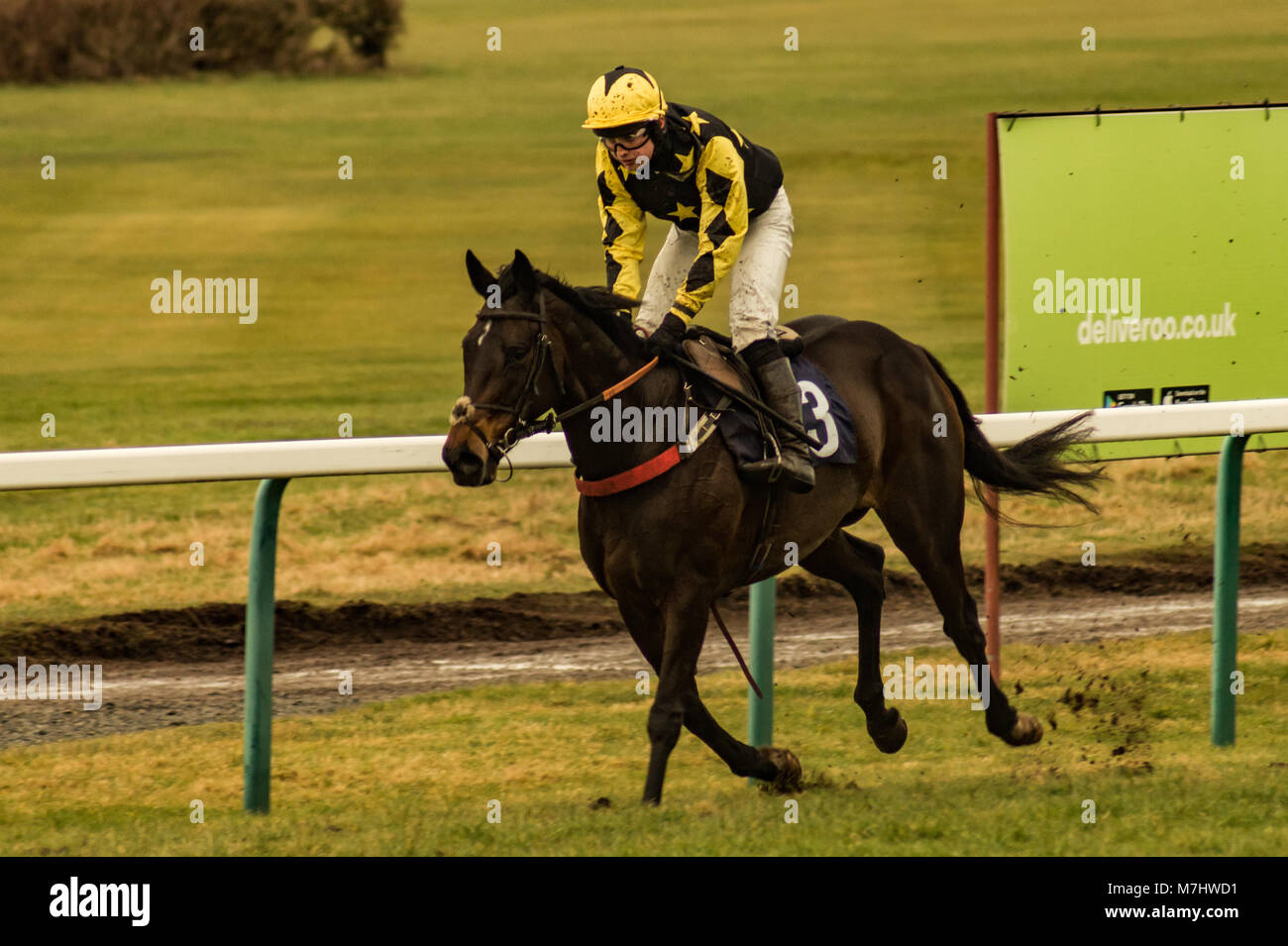 Hereford, Herefordshire, UK. 10 marzo, 2018. Misty Mai finiture in primo luogo durante le 2:15pm gara a Hereford racecourse durante il Signore giorno in Hereford il 10 marzo 2018. Credito: Jim legno/Alamy Live News Foto Stock