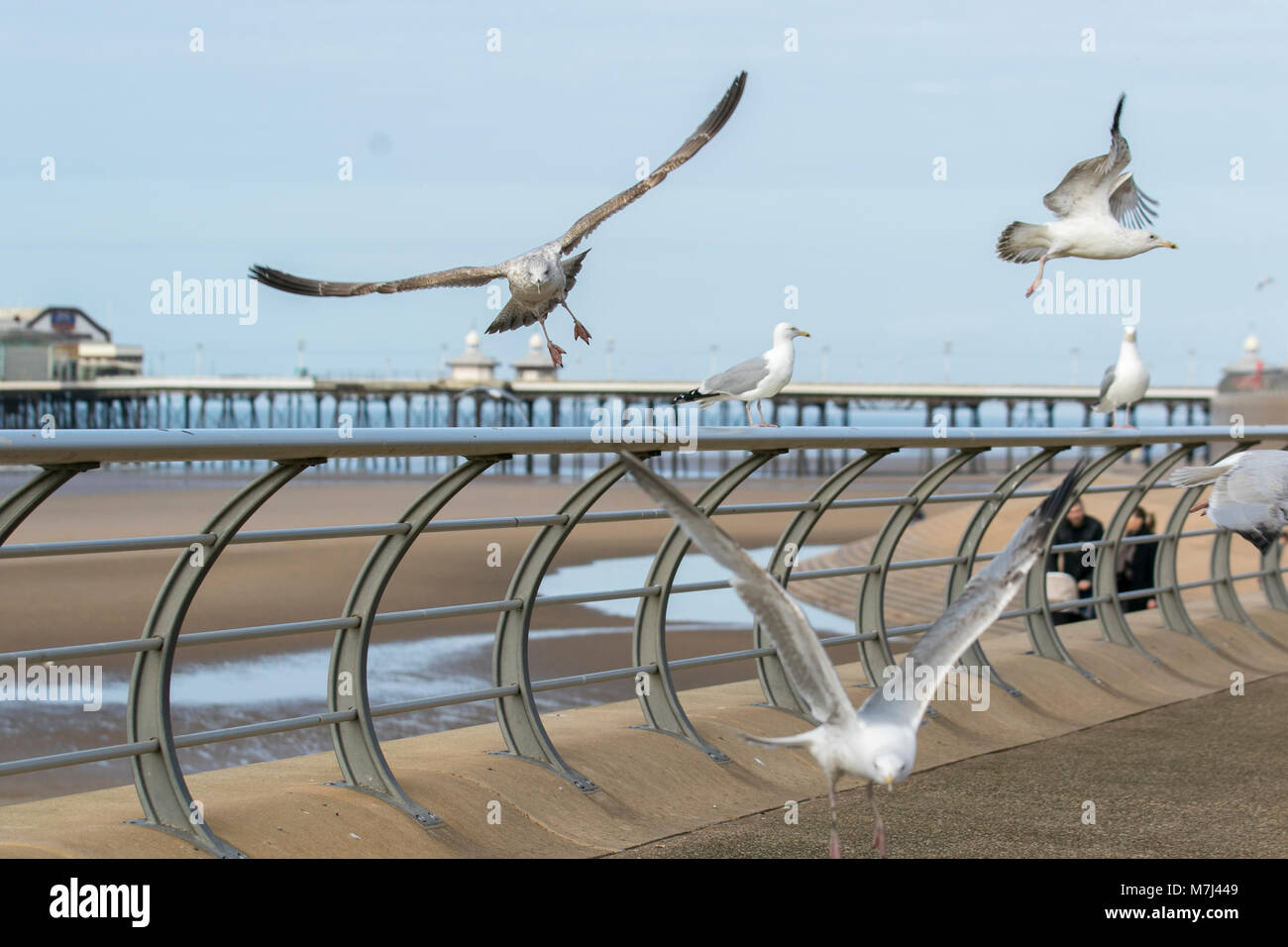 Blackpool, Lancashire. Regno Unito Meteo. 11 marzo, 2018. Calda giornata di primavera presso la costa come villeggianti e turisti godetevi una breve incantesimo di sole sulla Blackpool sul lungomare. Credito: MediaWorldImages/AlamyLiveNews Foto Stock