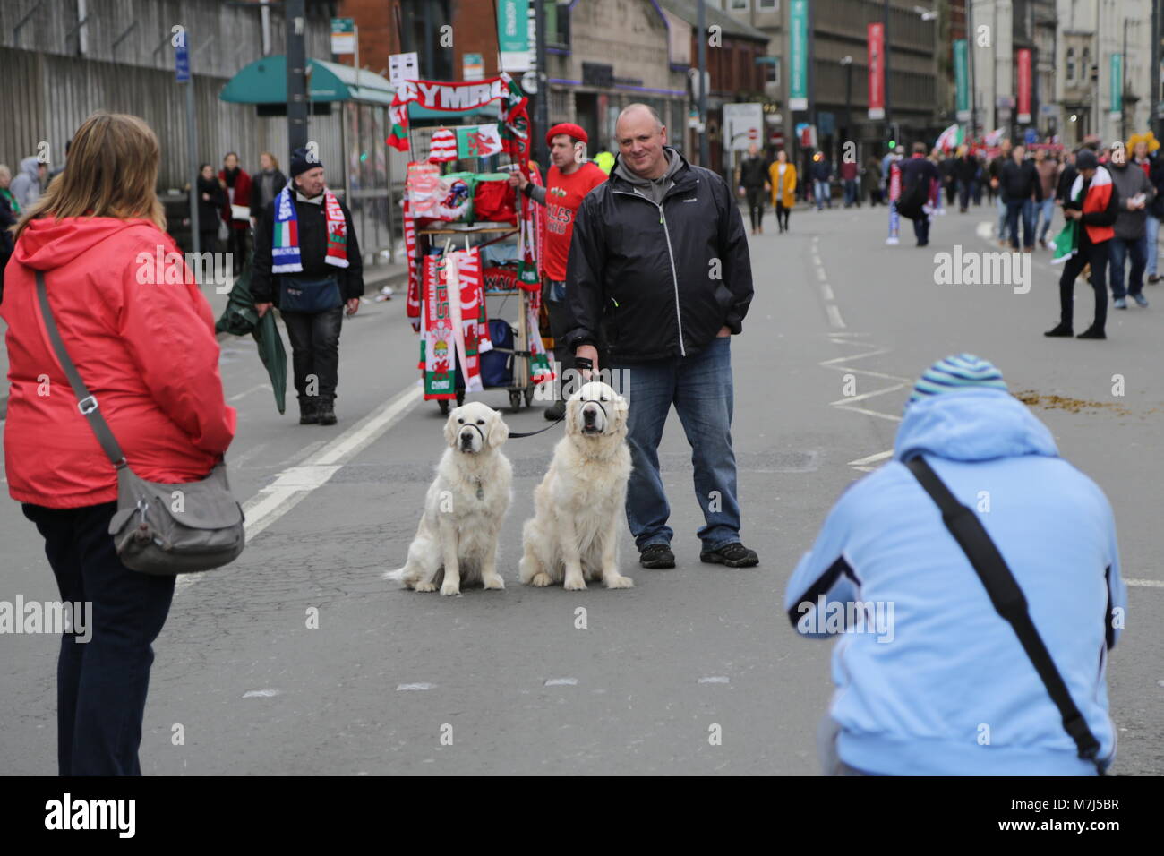 Sono andato oggi a prendere le foto di 6 Nazioni di Rugby Galles vs Italia a Principato Stadium di Cardiff. Foto Stock