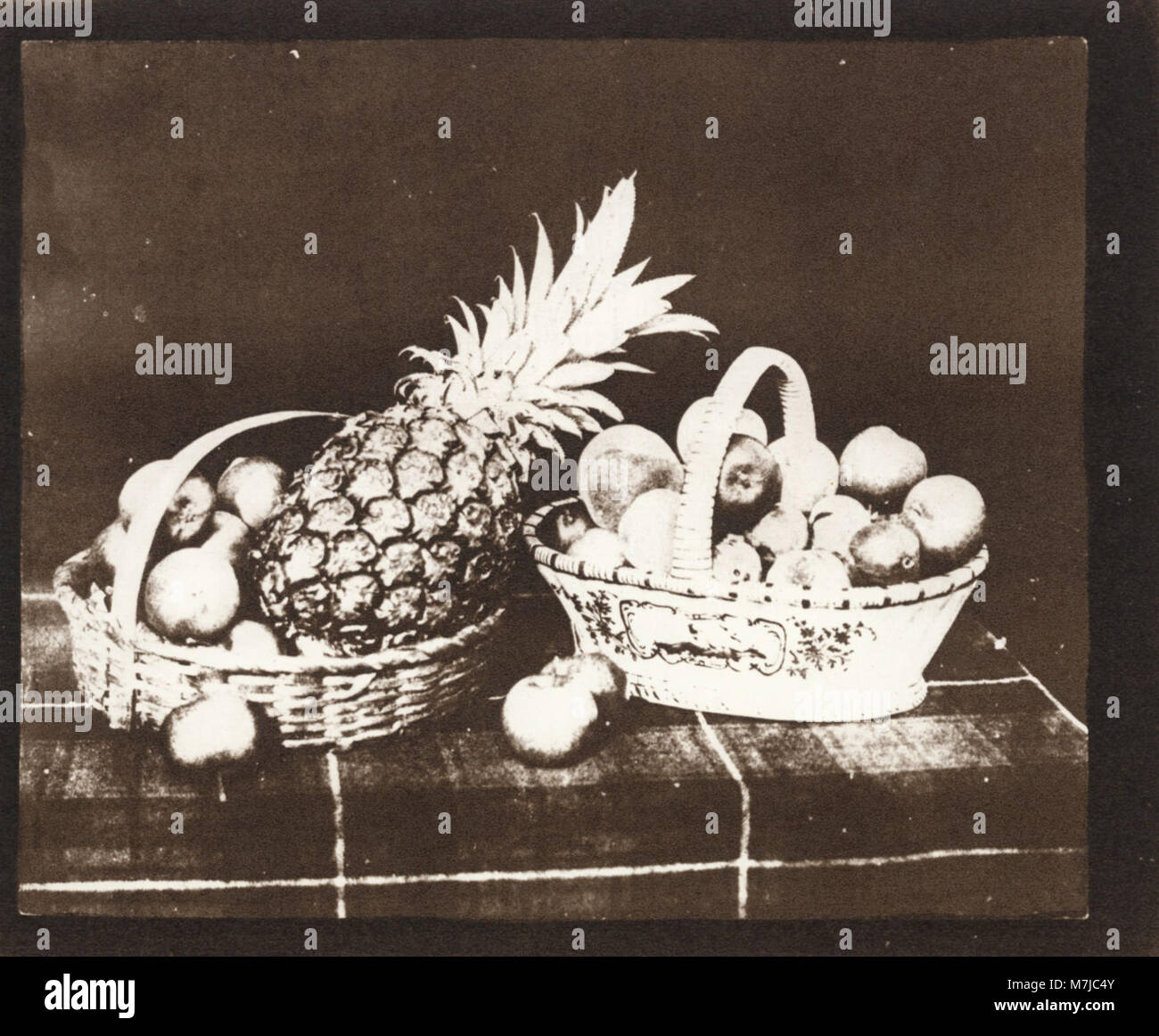 Talbot, William Henry Fox - "Früchte", "aus der Stift der Natur" (Zeno fotografie) Foto Stock