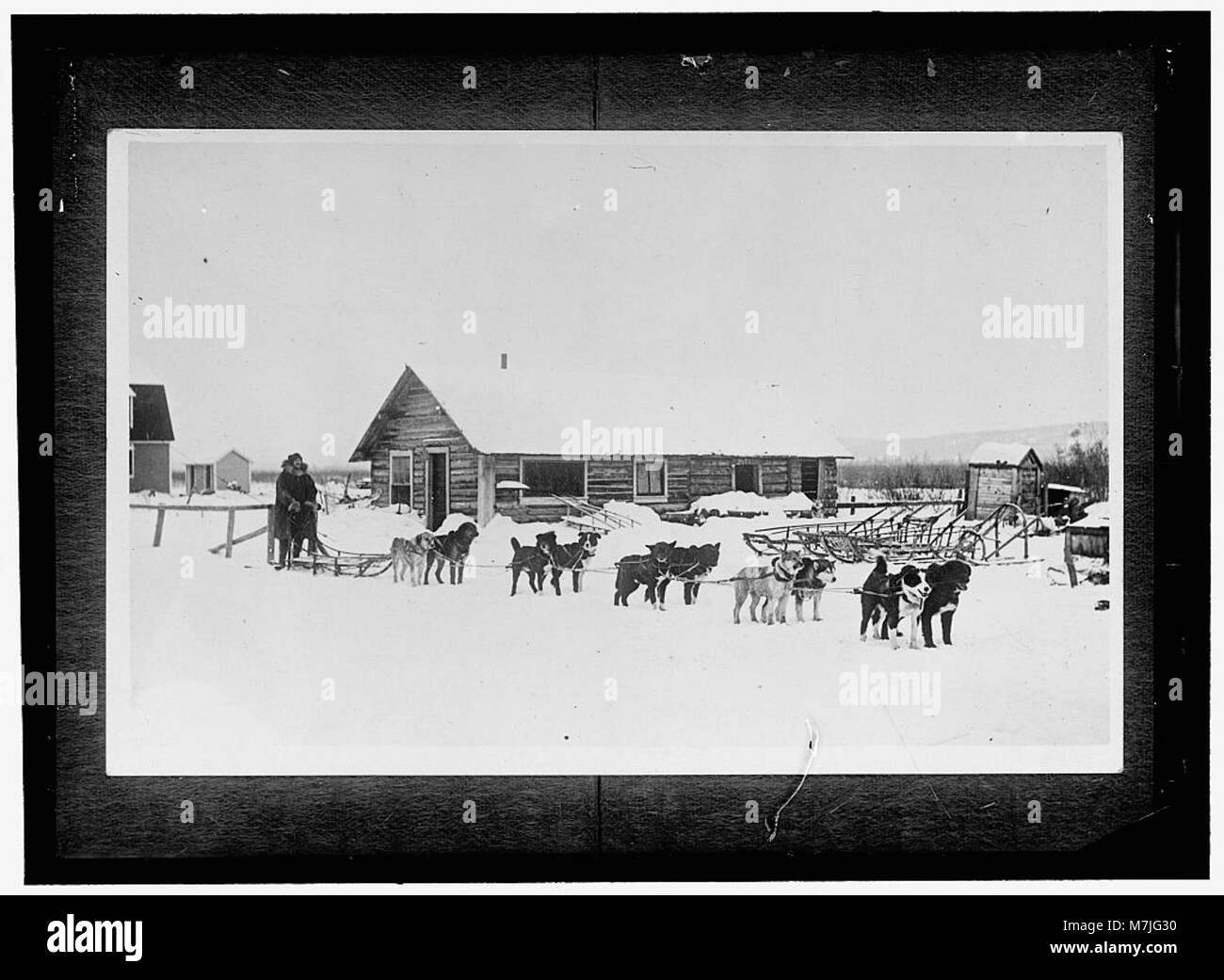 Questa immagine mostra una squadra di cani dell'Alaska e un musher, che mostrano il metodo tradizionale di trasporto nelle aree remote dell'Alaska. Per secoli, la slitta trainata da cani è stata un mezzo vitale per viaggiare nelle regioni fredde e innevate. Foto Stock