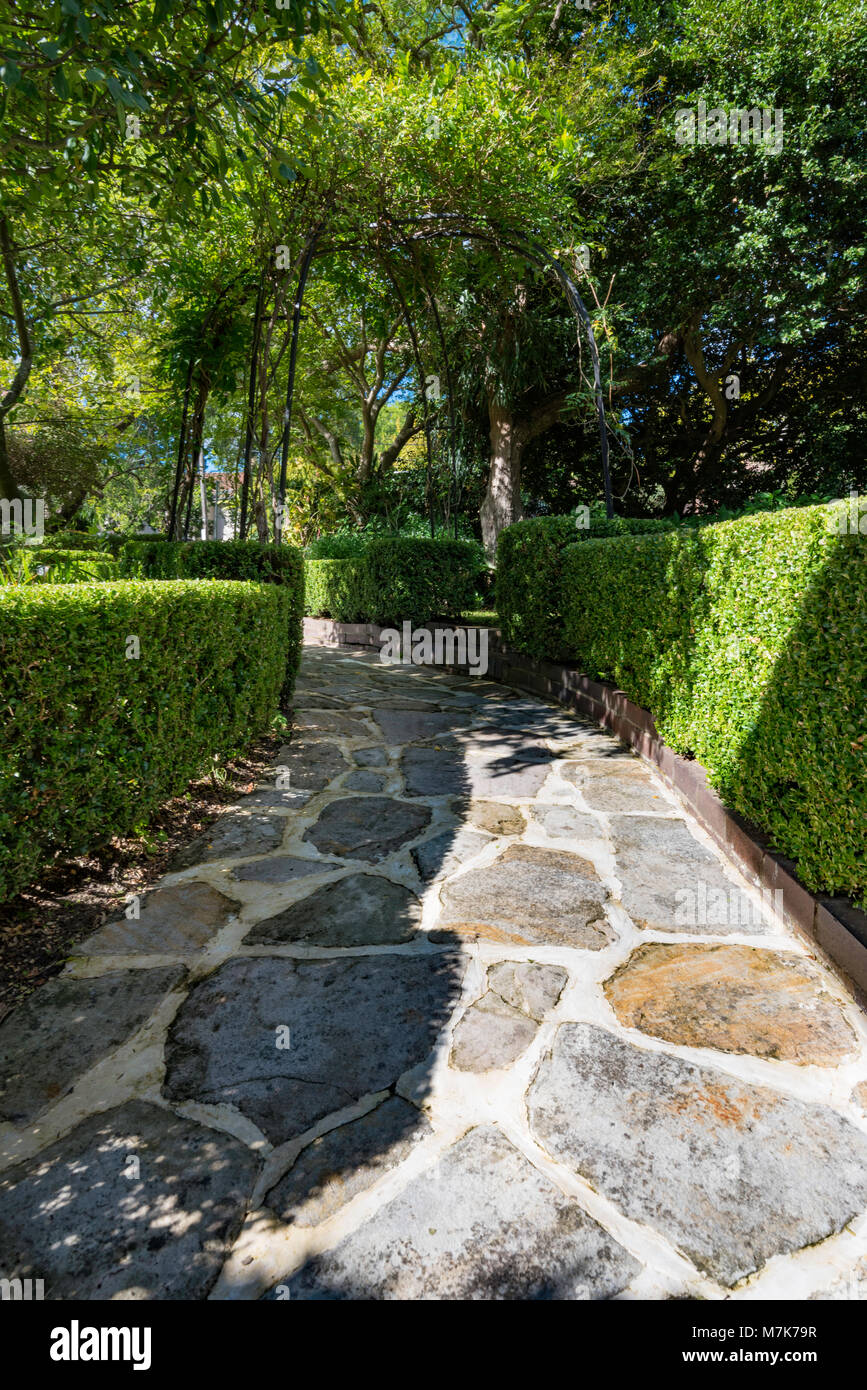 Un Buxus sempervirins (casella comune) hedge confinanti con un lastricato in pietra arenaria percorso in un giardino di Sydney. Foto Stock
