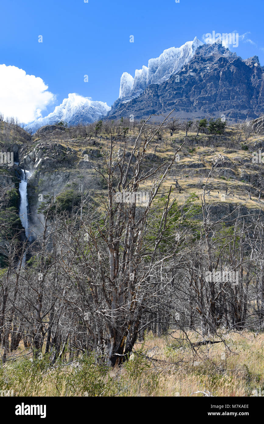 Picchi di montagna e foreste di bruciato Lenga alberi del Cordon Olguin, Parco Nazionale Torres del Paine, Patagonia, Cile Foto Stock