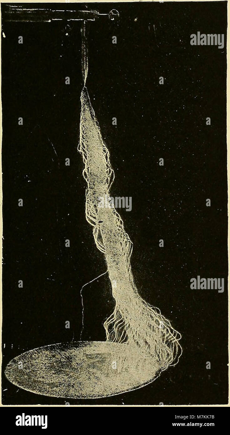 Il manuale del 1902 presenta metodi e applicazioni dell'elettricità medica, dei raggi Röntgen e della luce Finsen, descrivendo le procedure terapeutiche e la pratica clinica. Foto Stock