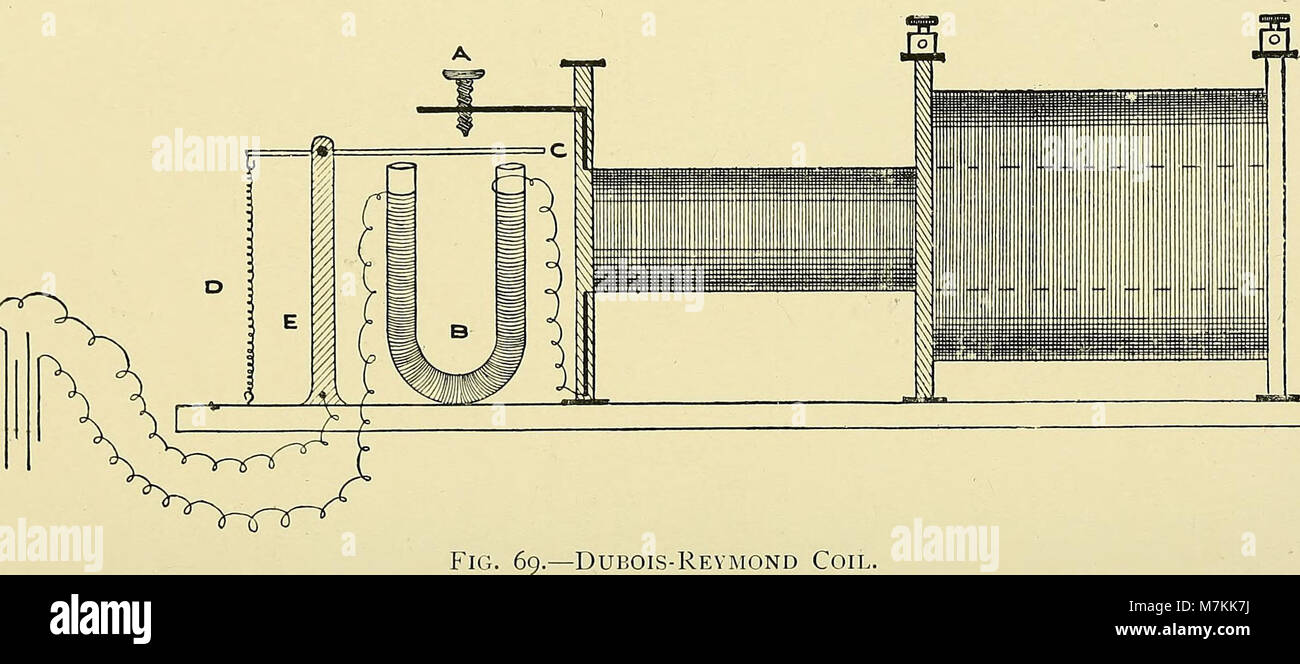 Questo manuale medico del 1902 fornisce istruzioni dettagliate sull'uso terapeutico dell'elettricità, dei raggi Röntgen e della luce Finsen, che funge da riferimento storico per i primi metodi di elettroterapia e fototerapia in medicina. Foto Stock