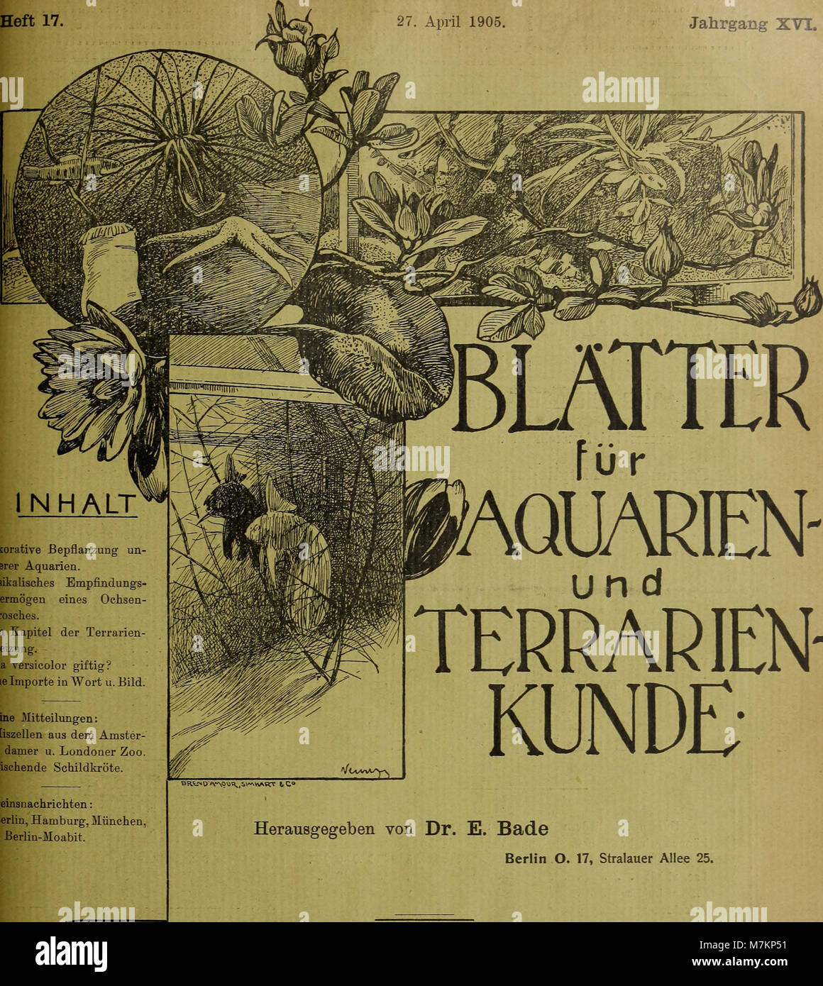 Blätter für Aquarien- und Terrarien-Kunde (1905) (20199344510) Foto Stock
