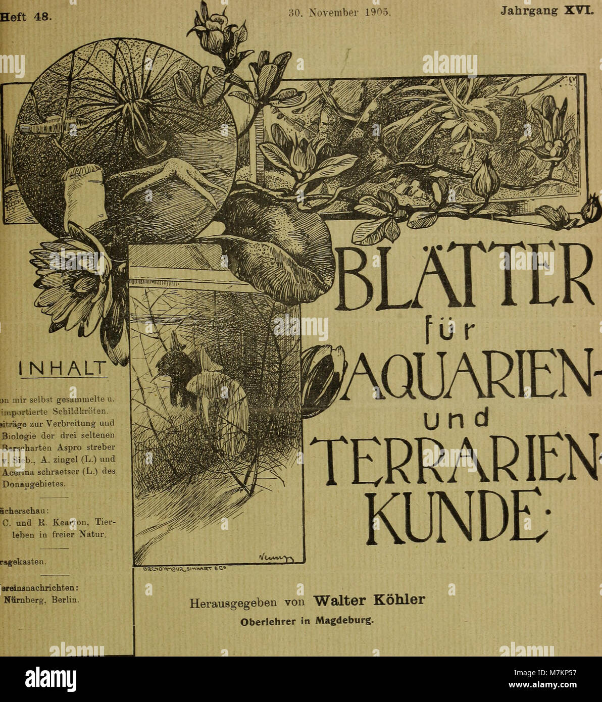 Blätter für Aquarien- und Terrarien-Kunde (1905) (20200144648) Foto Stock