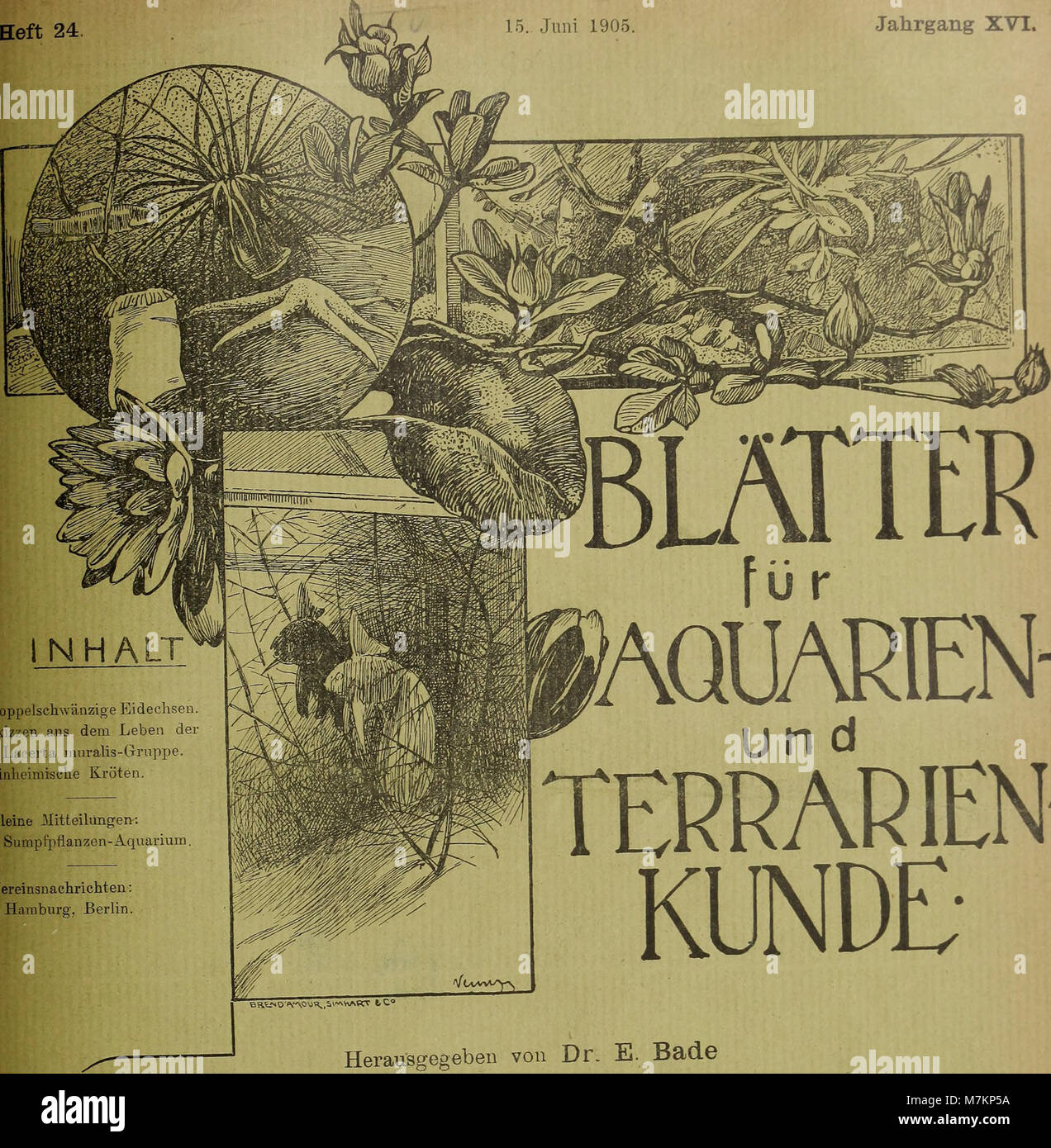 Blätter für Aquarien- und Terrarien-Kunde (1905) (20200892169) Foto Stock