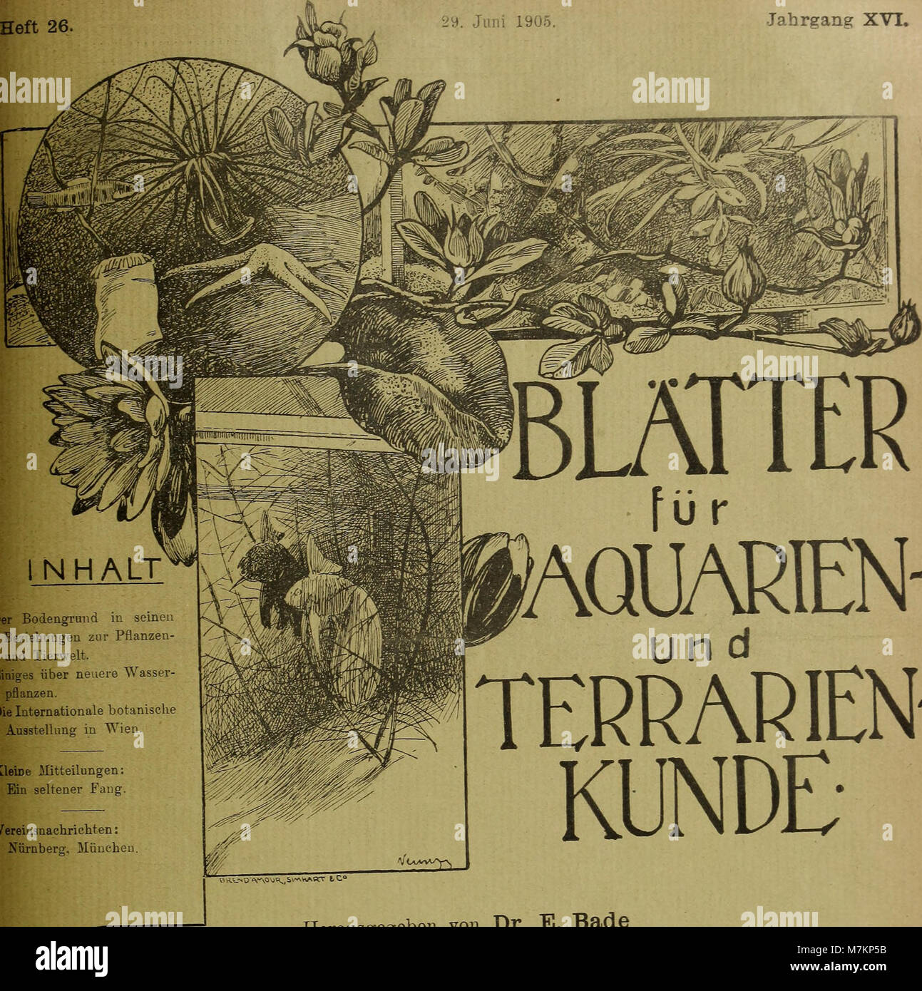 Blätter für Aquarien- und Terrarien-Kunde (1905) (20200932559) Foto Stock