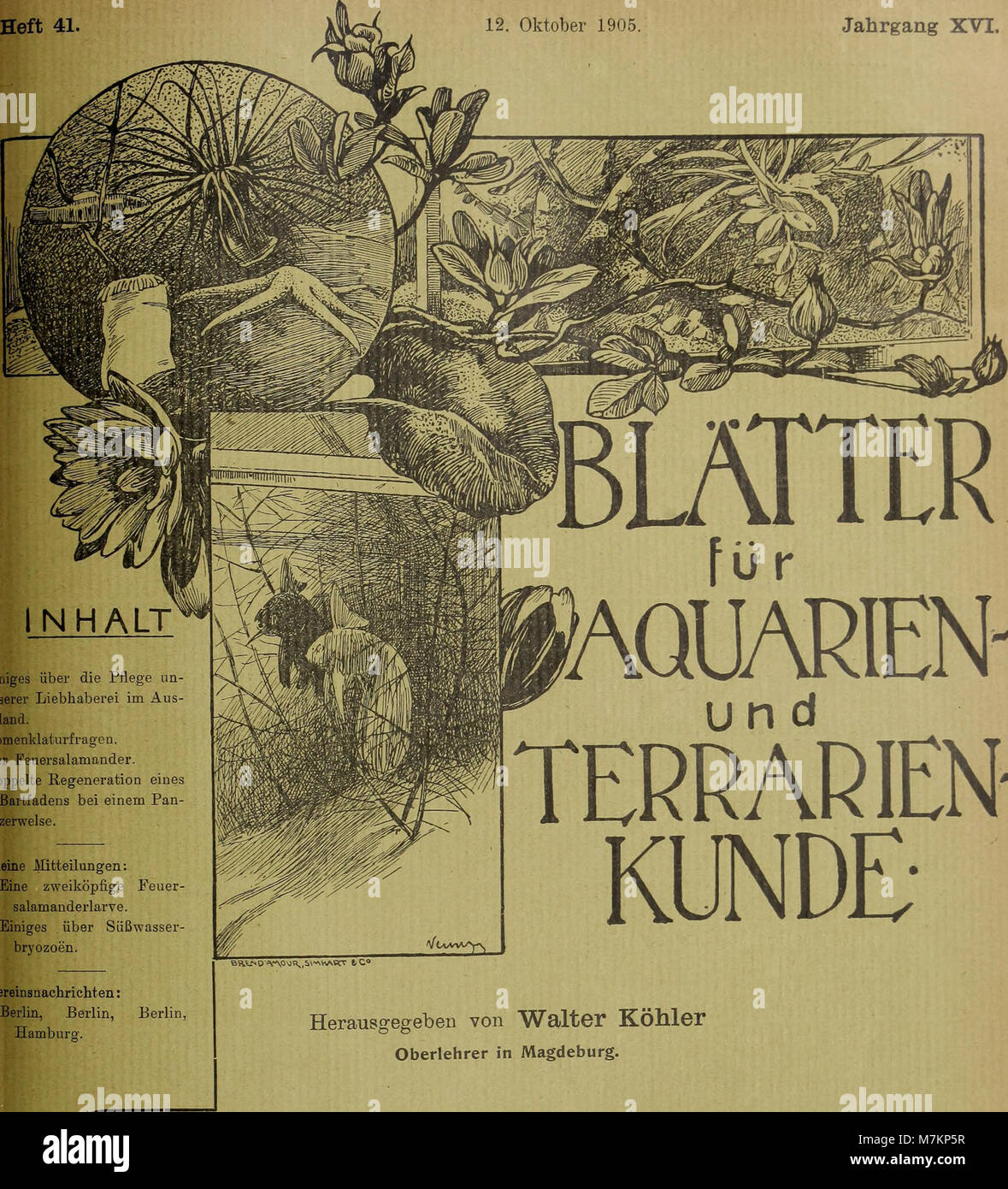 Blätter für Aquarien- und Terrarien-Kunde (1905) (20379350482) Foto Stock
