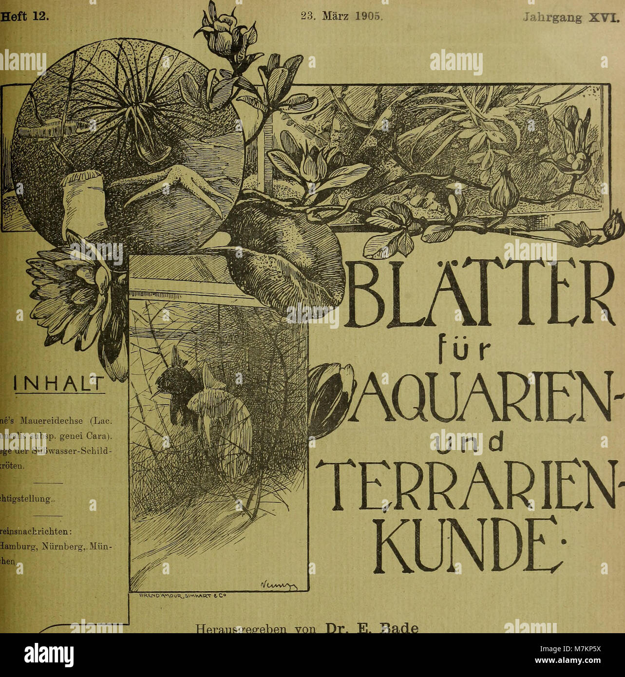 Blätter für Aquarien- und Terrarien-Kunde (1905) (20393438741) Foto Stock