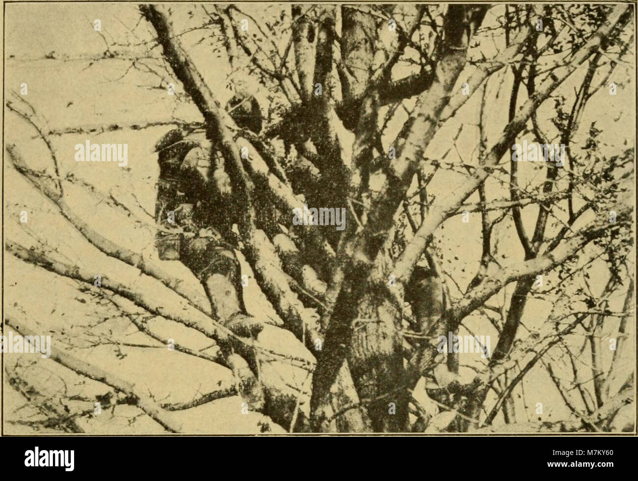 Un record storico del 1919 relativo al servizio militare, probabilmente raffigurante i Marines degli Stati Uniti durante o dopo la prima guerra mondiale, segnando un momento significativo nella storia militare dei primi anni del XX secolo. Foto Stock