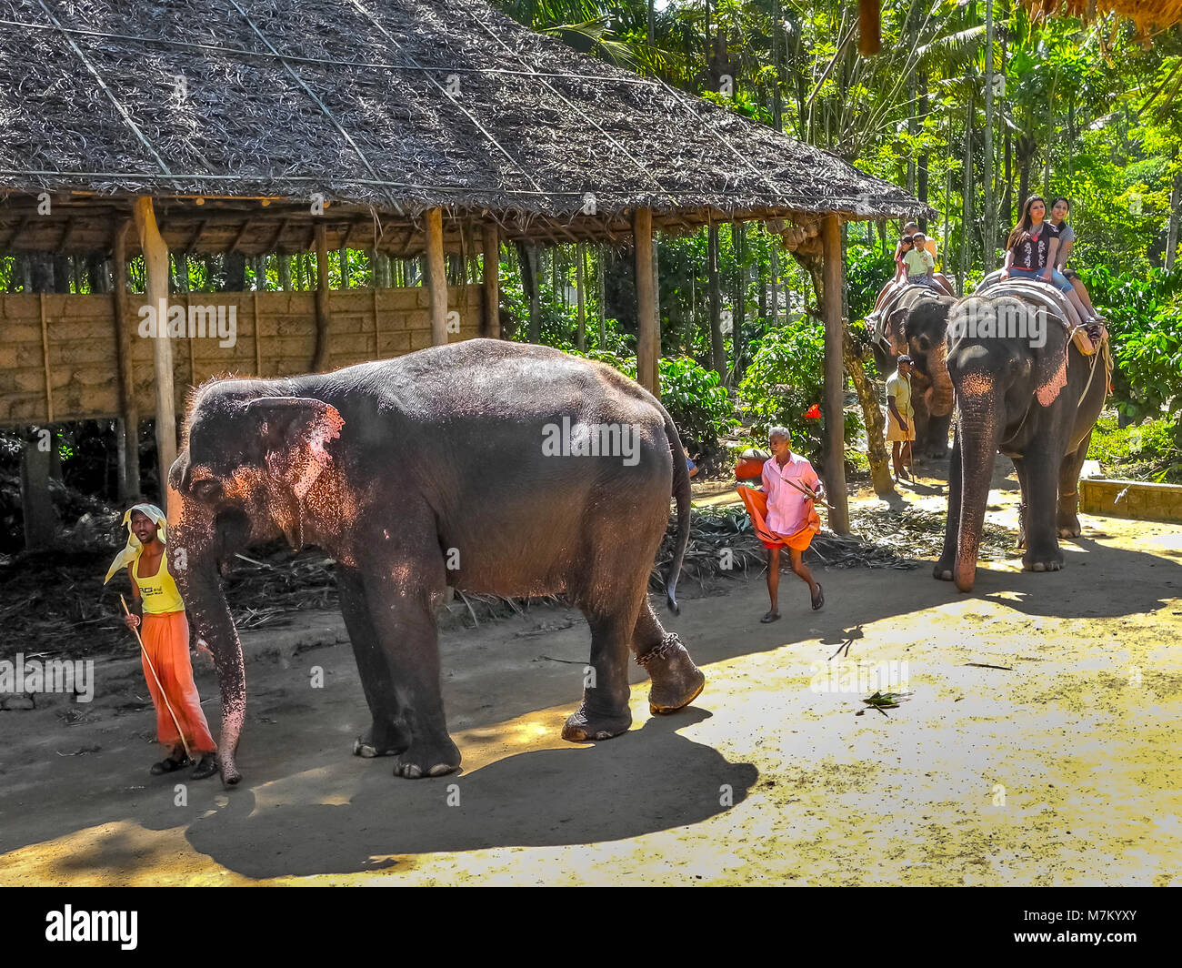 THEKKADY Kerala, India - DEC. 15, 2011: turisti godendo di elefante su elefante al Parco Nazionale del Periyar in Thekkady Kerala, India. Foto Stock