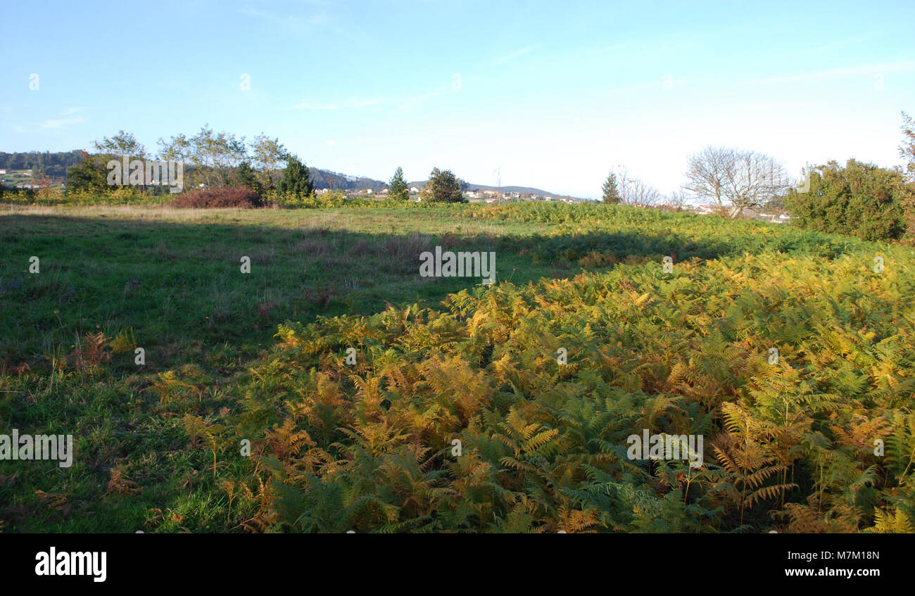 Un riferimento a Castro de Quintá, un sito archeologico a Narón, A Coruña, Galizia, Spagna, con resti di un insediamento dell'età del ferro rappresentativo della cultura castrista galiziana. Foto Stock