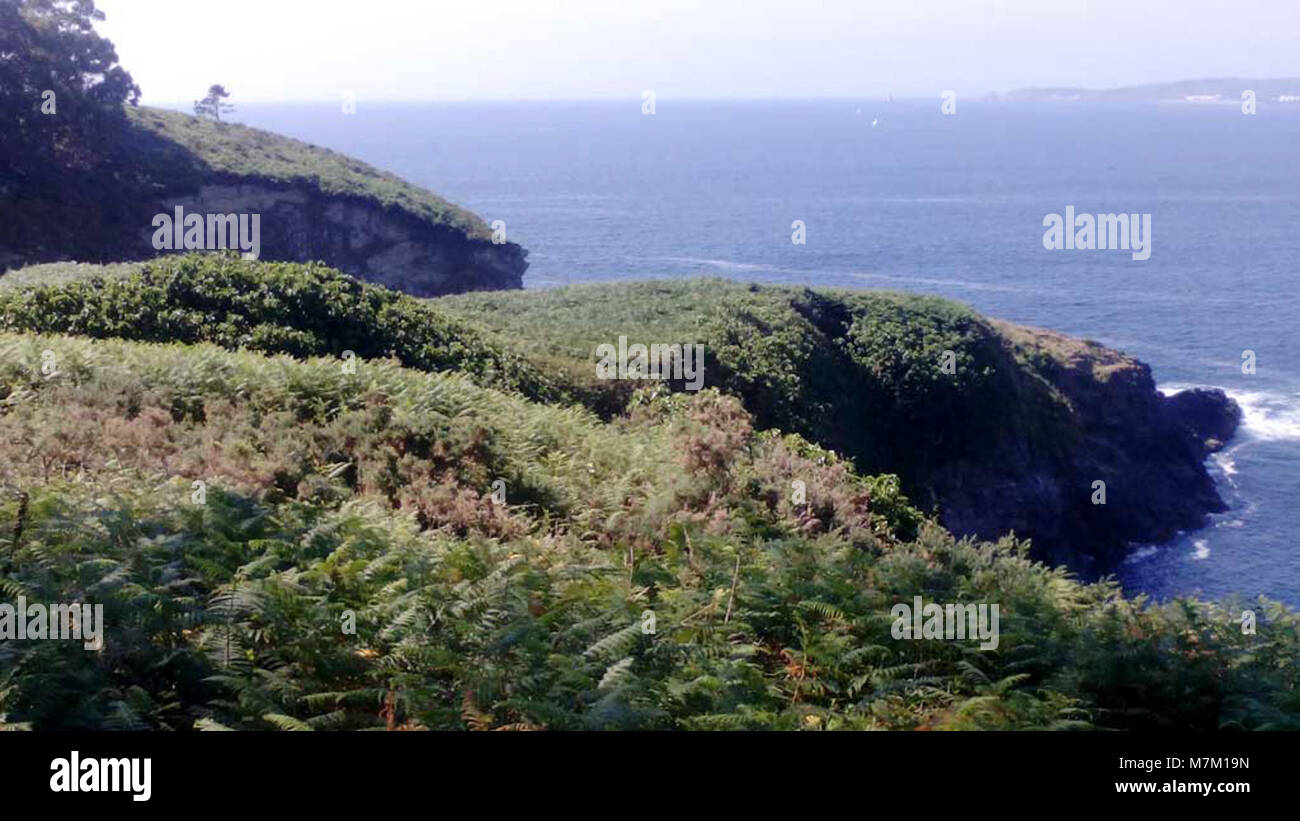 Una fotografia di Castro Punta Roza a Oleiros, A Coruña, Galizia, Spagna, che raffigura il paesaggio costiero con scogliere, vegetazione e viste panoramiche marittime caratteristiche della costa galiziana. Foto Stock