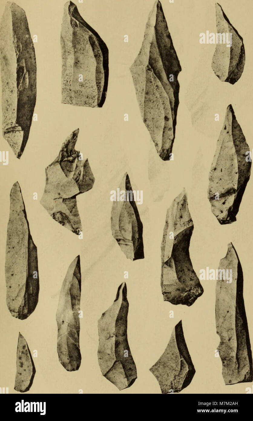 Abri-sous-roche préhistorique de la Colombière près Poncin (Ain) (1915) (16769430795) Foto Stock