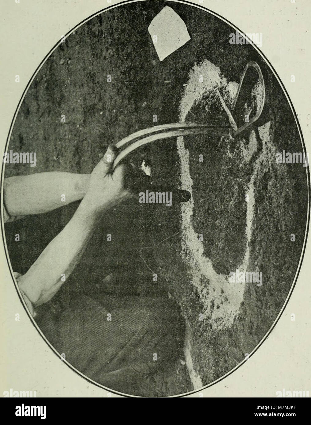 La pubblicazione del 1911 "Alphabet du piégeage" è un'opera francese incentrata sulle tecniche di cattura, sui metodi, gli strumenti e le pratiche utilizzati nella gestione della fauna selvatica all'inizio del XX secolo. Foto Stock