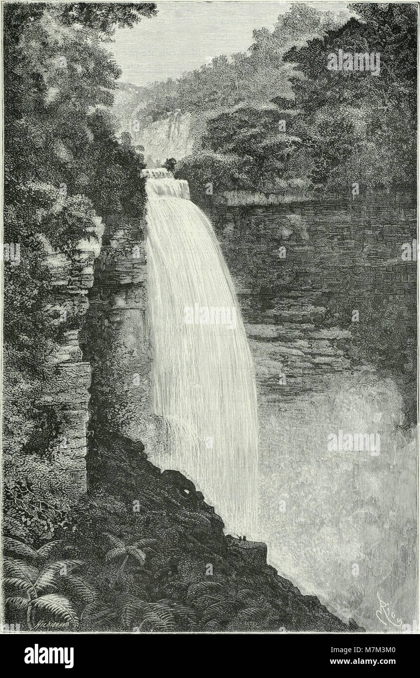 Una pubblicazione spagnola del 1884 intitolata "América pintoresca", descrive viaggi ed esplorazioni attraverso le Americhe da parte di esploratori contemporanei, mettendo in evidenza geografia, cultura e storia naturale. Foto Stock