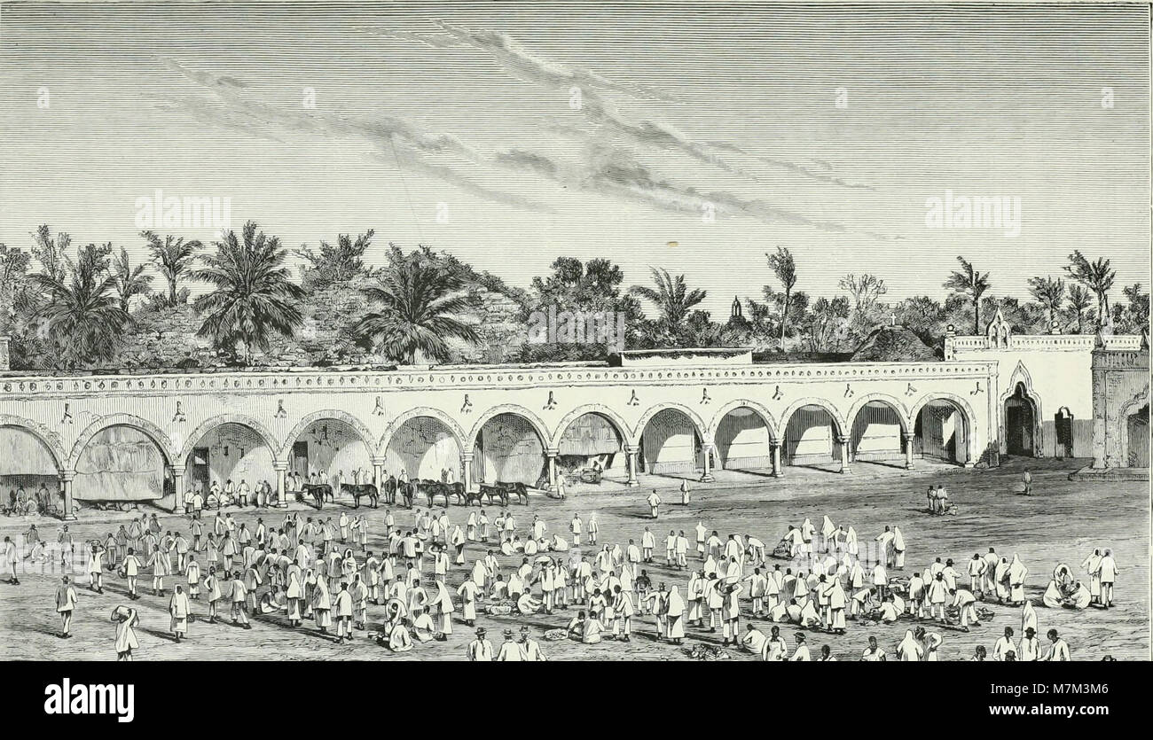 “América pintoresca: Descripción de viajes al nuevo continente por los más modernos exploradores” è una pubblicazione di viaggi illustrata in lingua spagnola (1884) che documenta viaggi ed esplorazioni nelle Americhe da parte di esploratori del XIX secolo attraverso testi descrittivi e incisioni. :ContentReference[oaicite:5]{index=5} Foto Stock