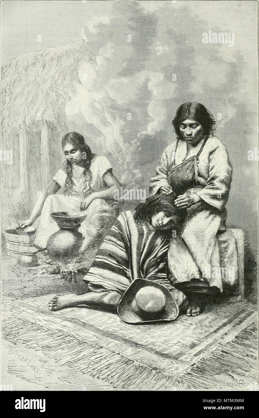 Pubblicato nel 1884, *América Pintoresca* descrive i viaggi nelle Americhe da parte di esploratori, documentando i paesaggi naturali, la geografia e le culture del nuovo mondo. Foto Stock