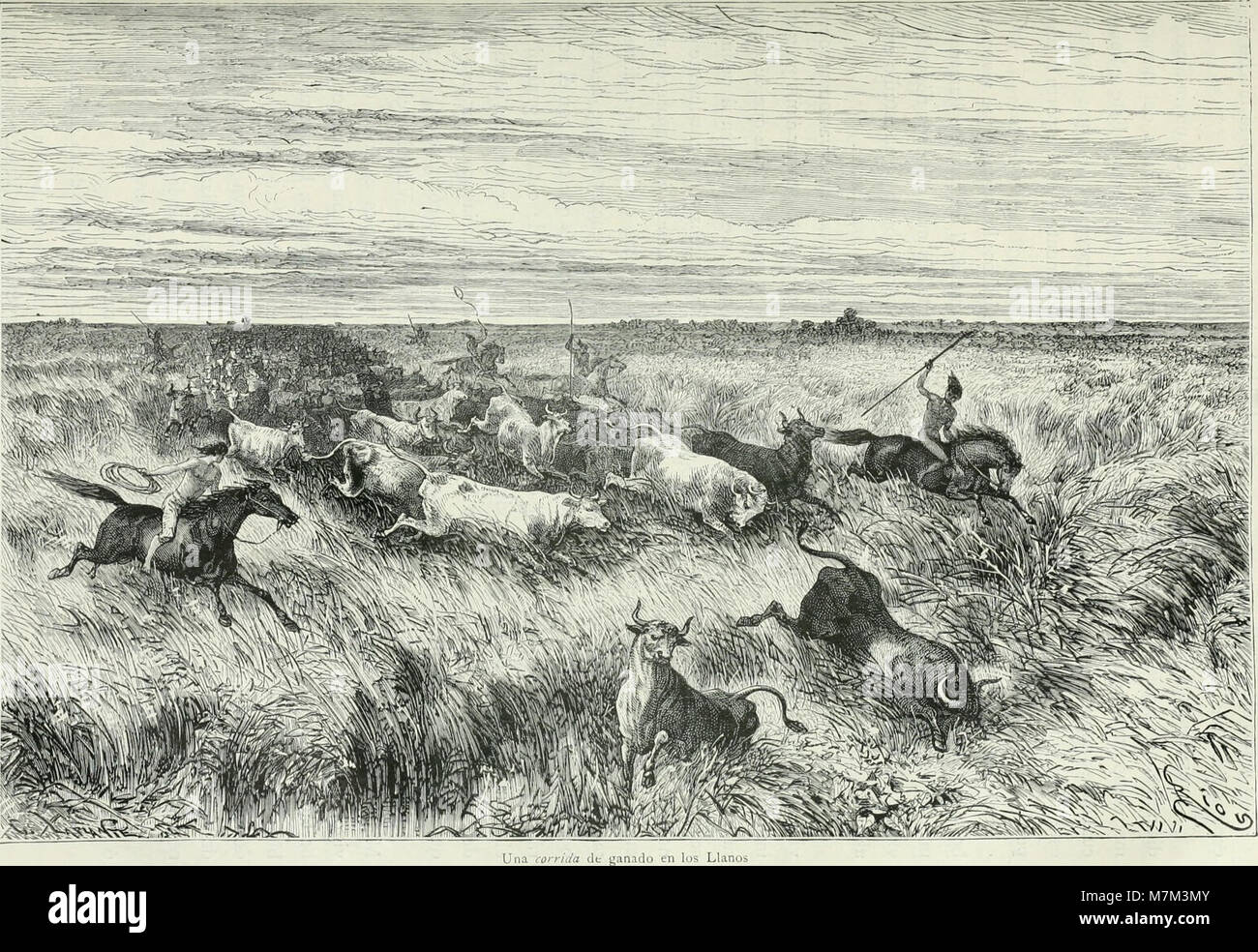 América pintoresca; descripción de viajes al Nuevo continente por los más modernos exploradores (1884) è un'antologia di viaggi in lingua spagnola curata da Charles Wiener e altri. Raccoglie le narrazioni e le illustrazioni degli esploratori dell'America Latina, tra cui l'Amazzonia, le Ande e il Messico, da spedizioni della fine del XIX secolo. HathiTrust+1 Foto Stock