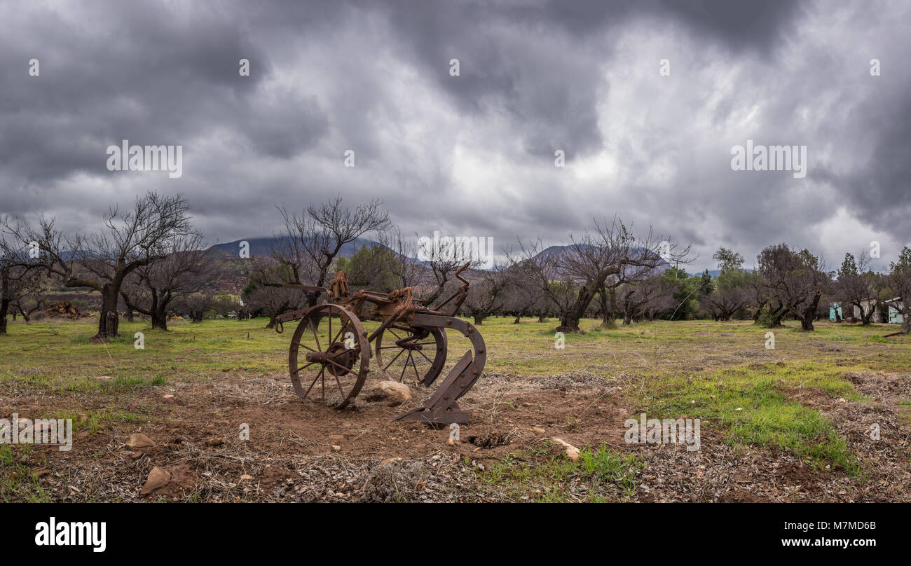 Vintage e rustico aratro rimorchio in primo piano del frutteto di albero in inverno sotto blustery pioggia nuvole. Foto Stock