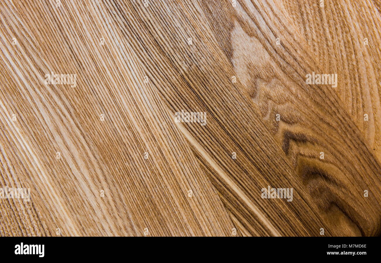La texture del legno. La pavimentazione. Querce, frassini e olmi Foto Stock