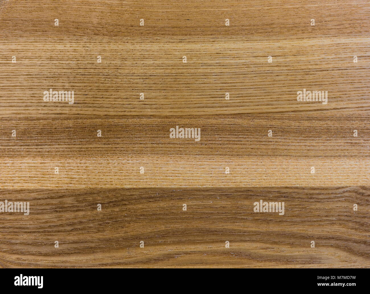 La texture del legno. La pavimentazione. Querce, frassini e olmi Foto Stock