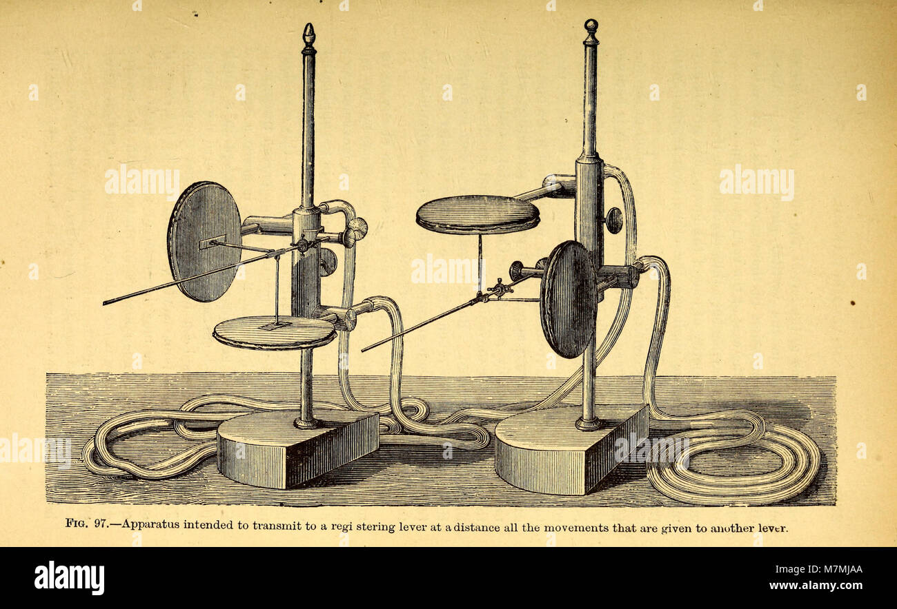 Meccanismo di animale- un trattato sul terrestre e aërial locomozione (1874) (18198121875) Foto Stock