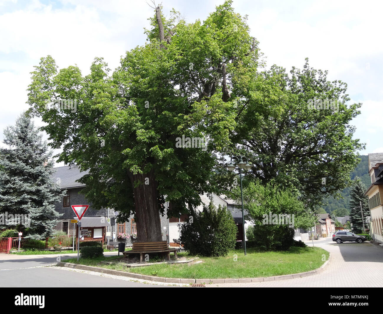 Un'immagine storica del centro di Marktgölitz, raffigurante la piazza principale e gli edifici circostanti che rappresentano gli stili architettonici locali e la vita comunitaria nella regione. Foto Stock