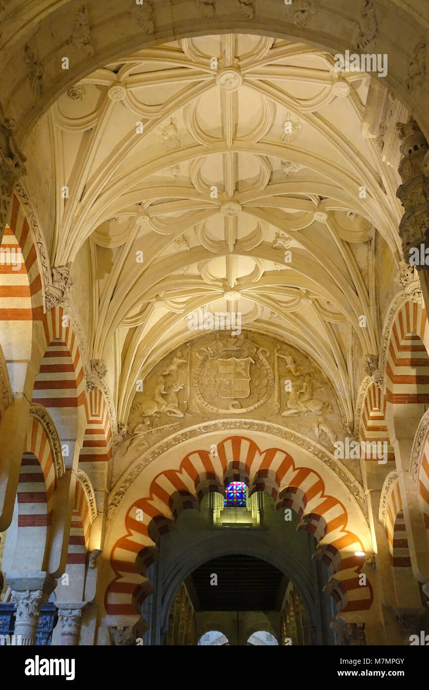 Il soffitto della moschea-cattedrale di Córdoba presenta una complessa struttura di travi in legno e volte a coste che combinano motivi geometrici islamici e successivamente elementi gotici cristiani. Foto Stock
