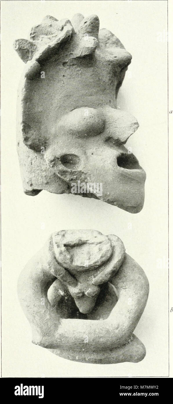 L'immagine del 1901 mostra i ricercatori che conducono indagini archeologiche sull'isola di la Plata in Ecuador, catturando i metodi di scavo dell'inizio del XX secolo e il lavoro sul campo scientifico. Foto Stock