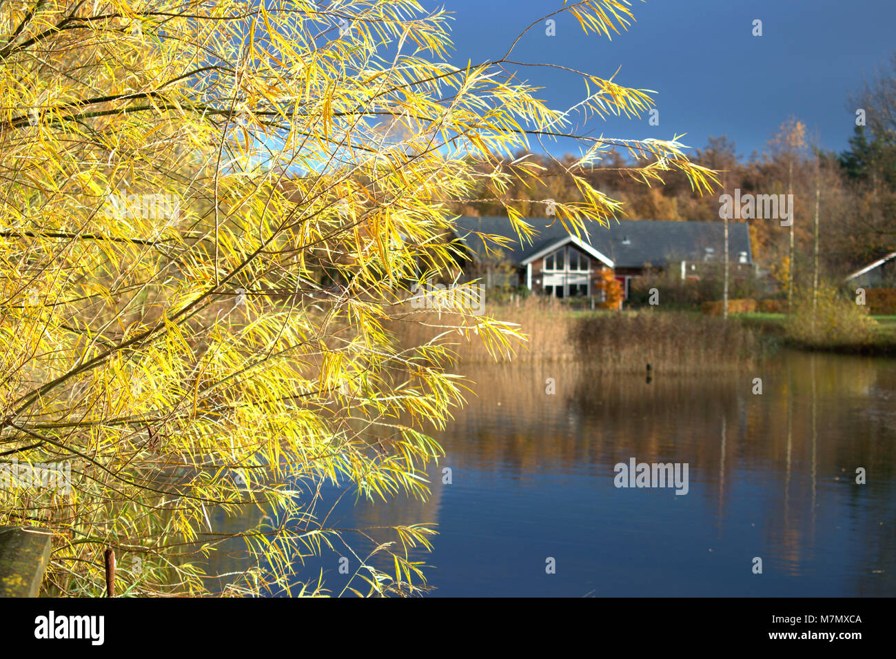 Cottage di legno accanto a un lago su un cast sulla mattina di autunno Foto Stock