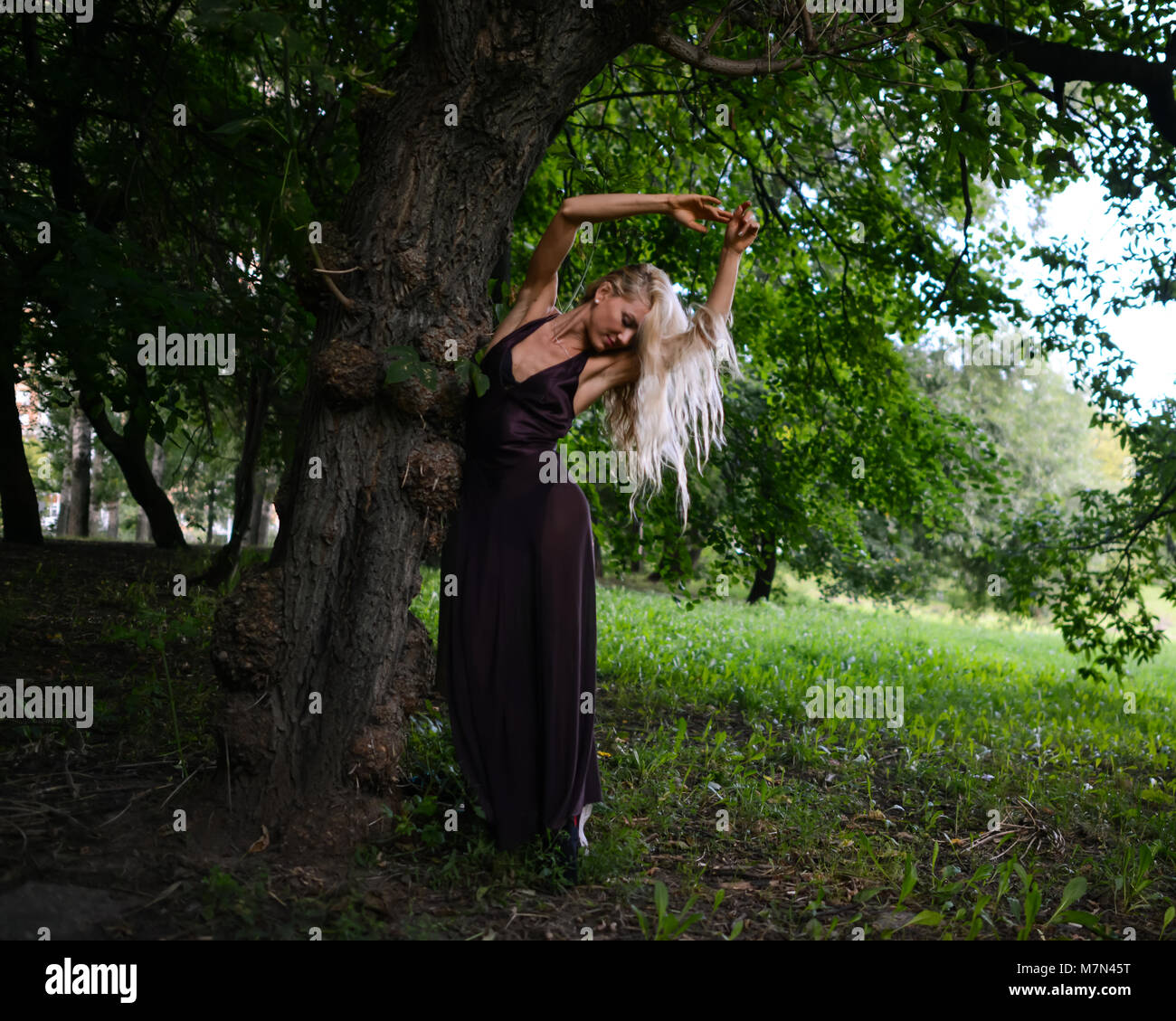 Giovane donna shapely supporti sotto il grande albero nel parco della città. Slim ragazza bionda con capelli belli in abito è in posa sulla natura sfondo Foto Stock