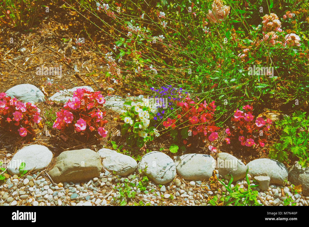 Fiori decorativi al cortile interno in un villaggio svizzero di Yverdon-les-Bains Les Bains in Jura Nord Vaudois distretto del Cantone di Vaud, in Svizzera. Foto Stock