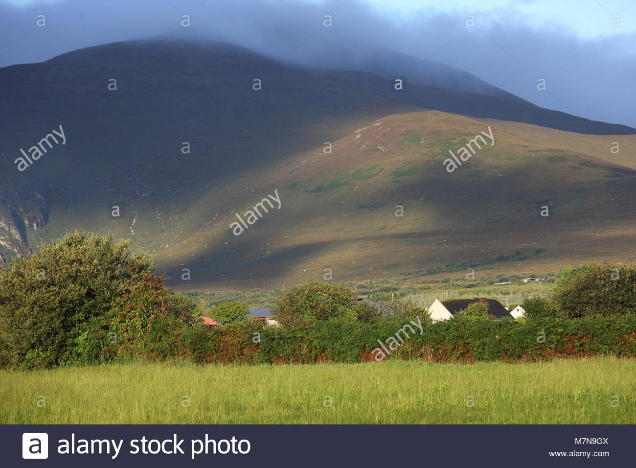 Bella la luce del mattino si muove attraverso una sonnolenta di sezione della penisola di Dingle vicino al castello di gregorio Foto Stock