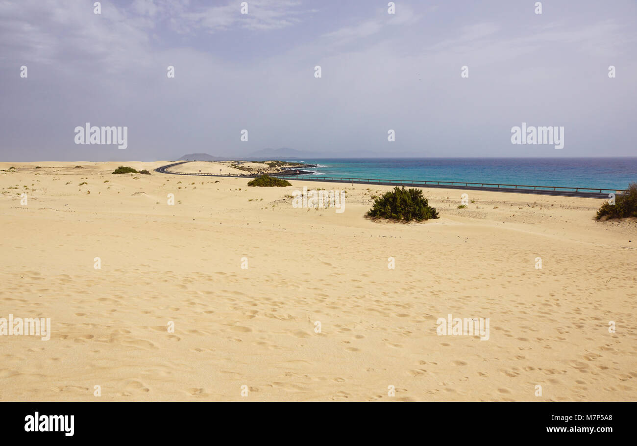 Strada di sabbia nel paesaggio di dune di Corralejo National Park, Fuerteventura, Isole Canarie, Spagna Foto Stock