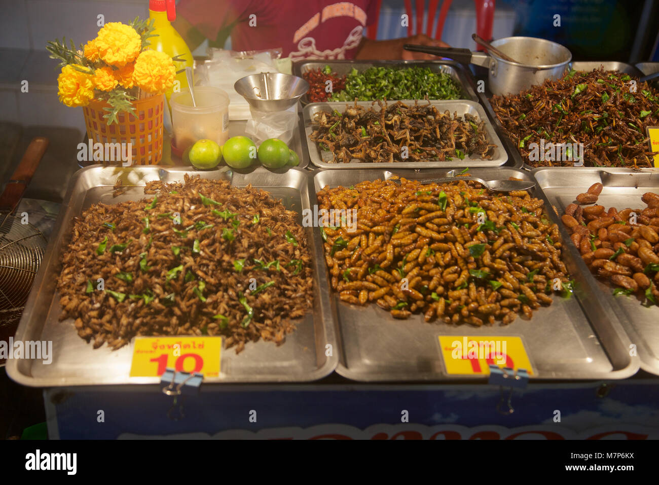 Insetti e bug per la vendita su un cibo tailandese in stallo in un luna park, Phuket, Tailandia, Foto Stock