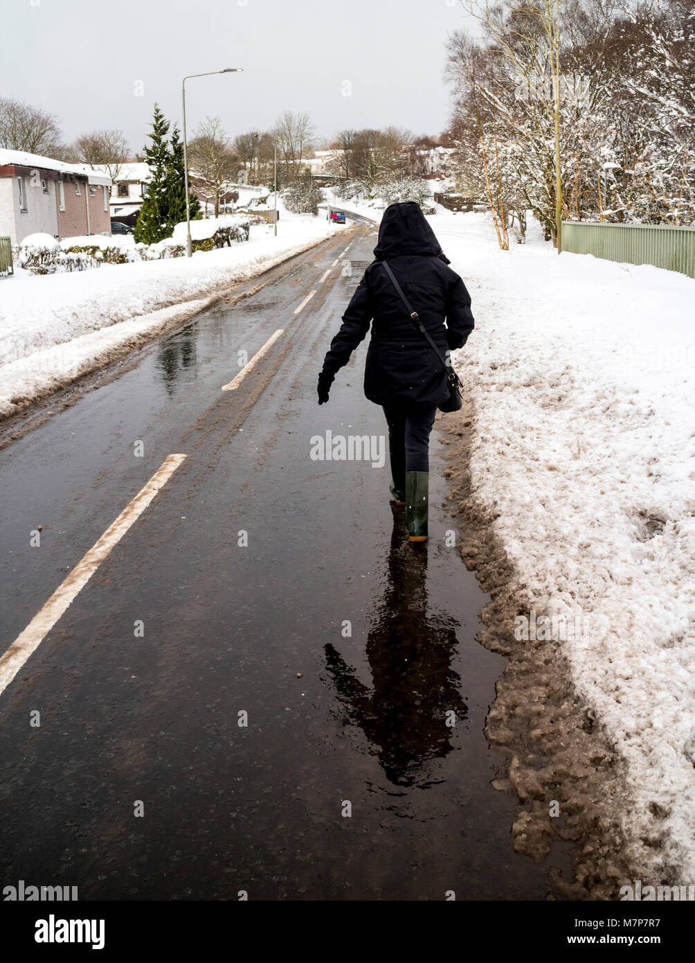 Donna costretto a camminare su una strada cancellati a causa della neve che ricopre il marciapiede, Scozia. Foto Stock