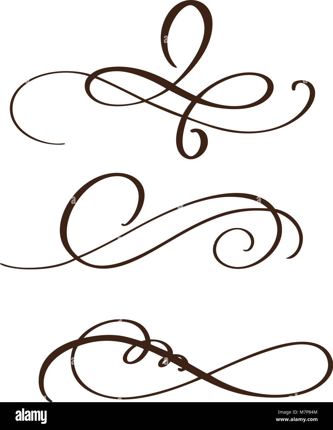 Disegnato a mano separatore fioriscono gli elementi di calligrafia. Illustrazione Vettoriale Illustrazione Vettoriale