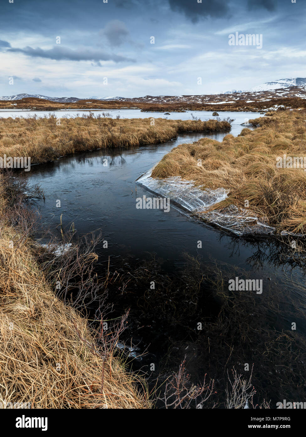 Rannoch Moor, Highlands scozzesi, Scozia Foto Stock