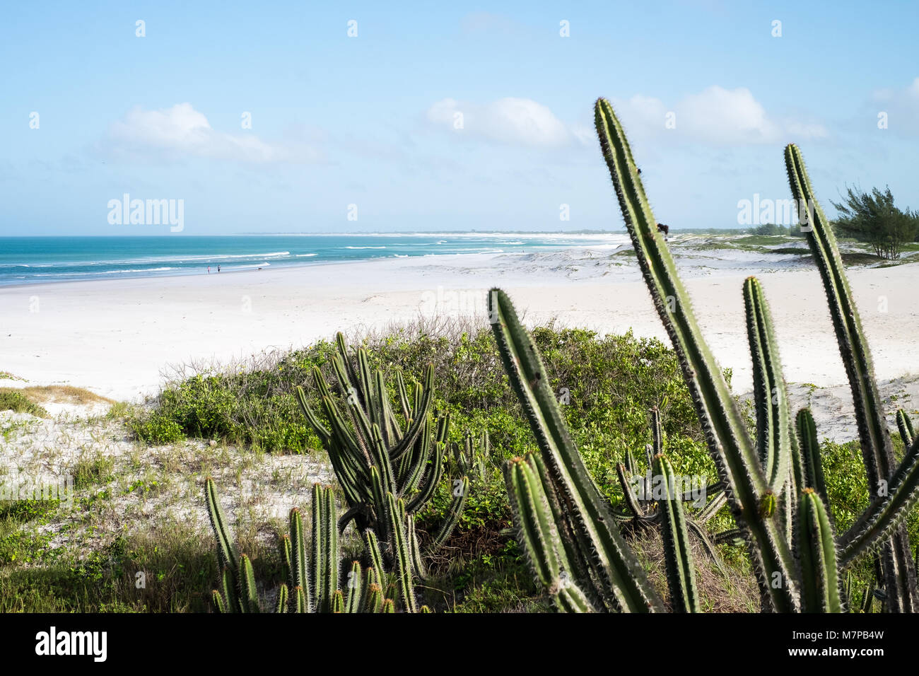 Bellissimo litorale di Arraial do Cabo in estate, Rio de Janeiro, Brasile Foto Stock