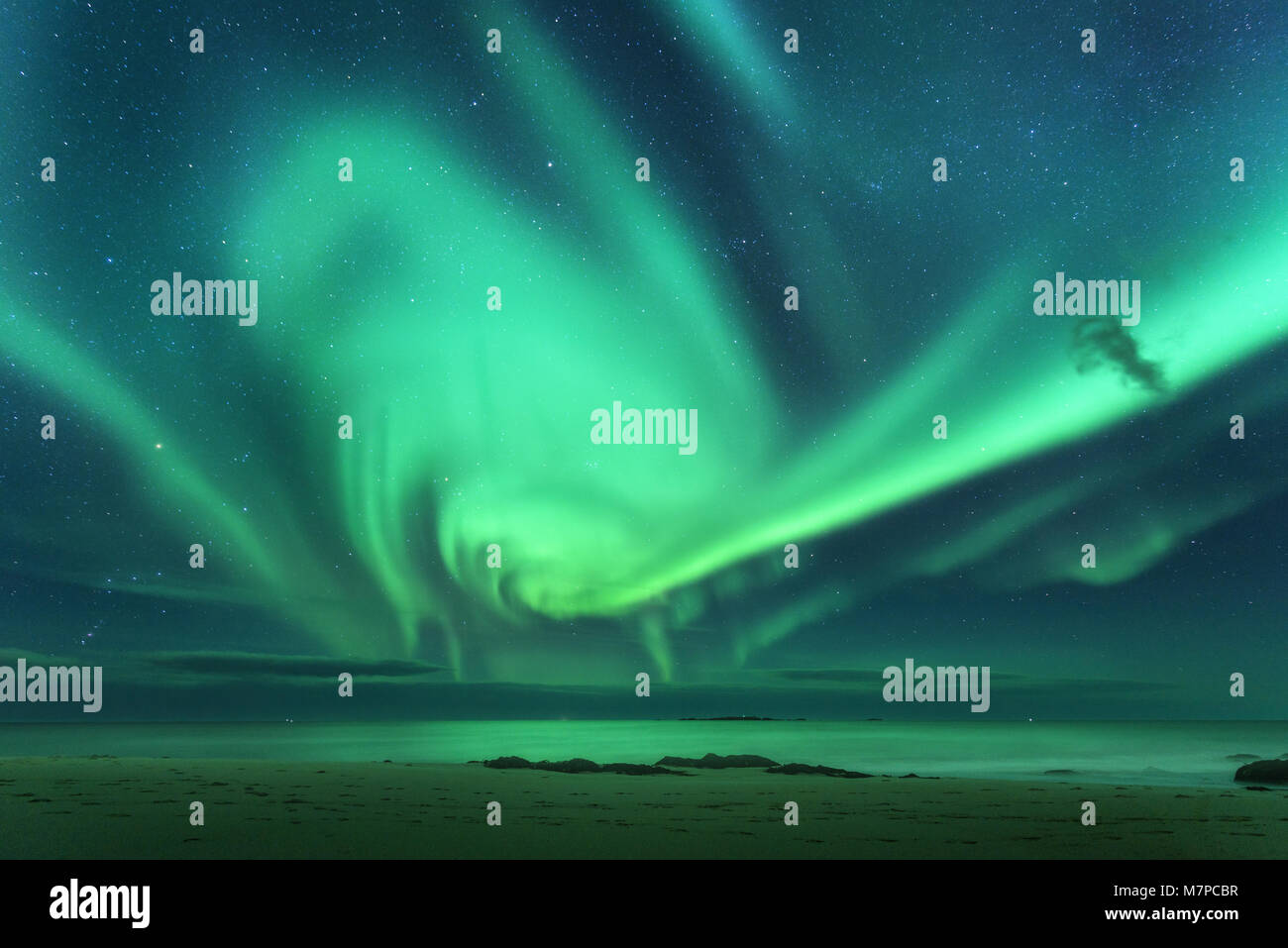 Aurora. Aurora boreale sopra il mare. Isole Lofoten in Norvegia. Green luci del nord. Cielo stellato con luci polari. Notte paesaggio invernale con auror Foto Stock