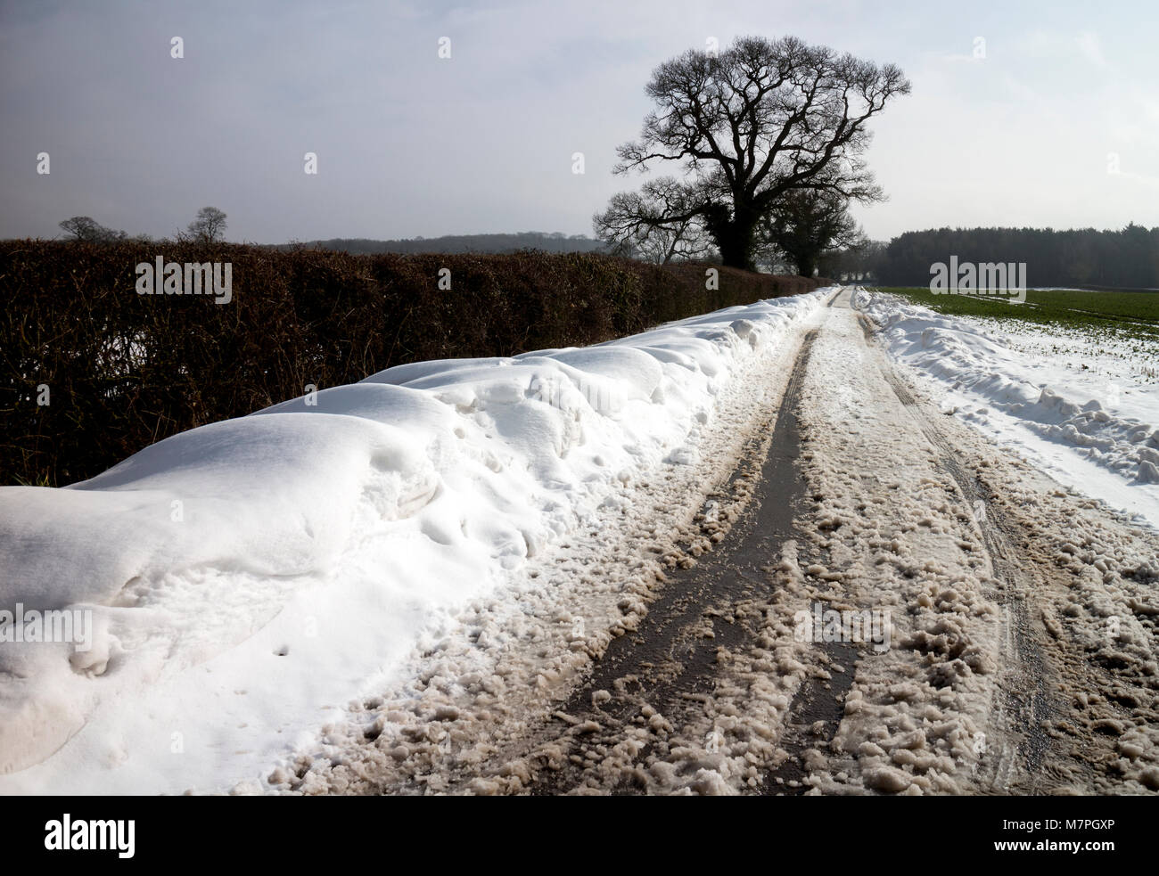 Una strada di campagna in inverno con neve, Warwickshire, Regno Unito Foto Stock