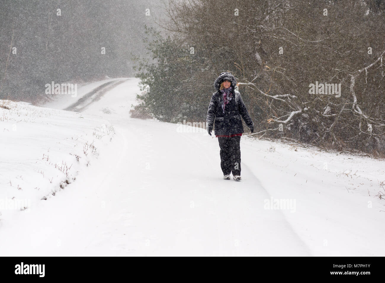 Donna che cammina da solo verso il basso un tortuoso viottolo di campagna in una tempesta di neve nel New Forest, Hampshire REGNO UNITO. Foto Stock