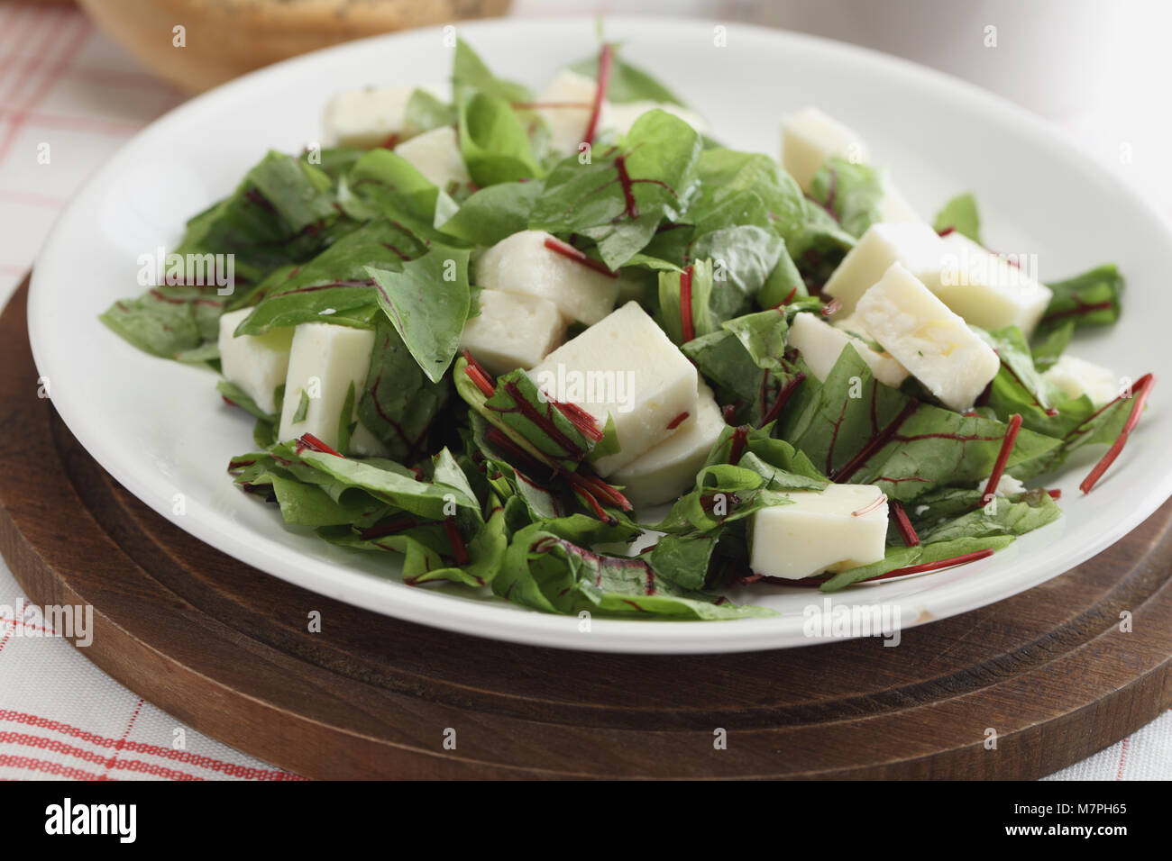 Formaggio di capra e insalata di bietole closeup Foto Stock