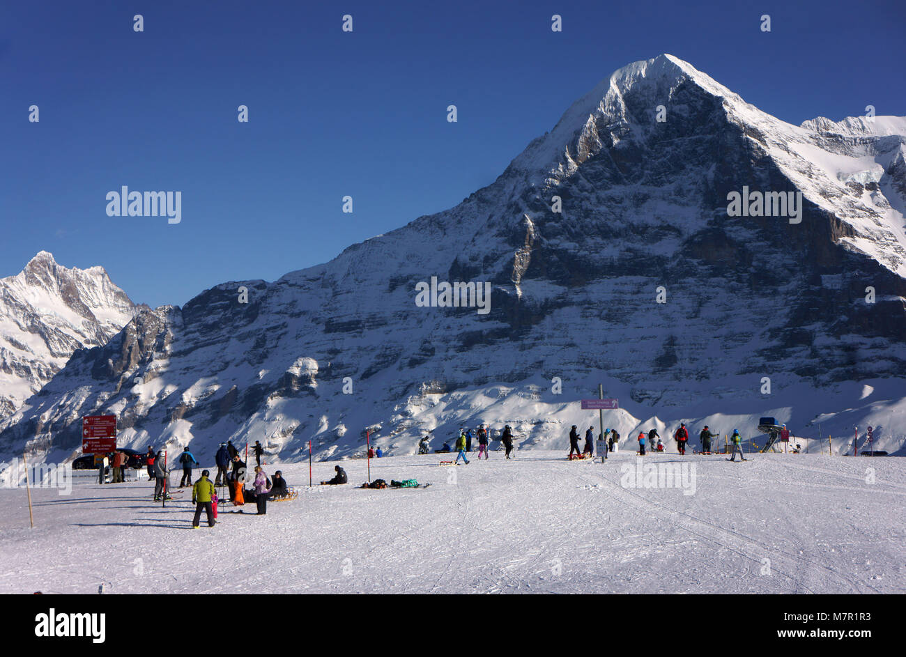 Skiresort Männlichen, Grindelwald, con Mtns Schreckhorn (l) e l'Eiger, alpi Bernesi, destinazione della Jungfrau, Svizzera Foto Stock