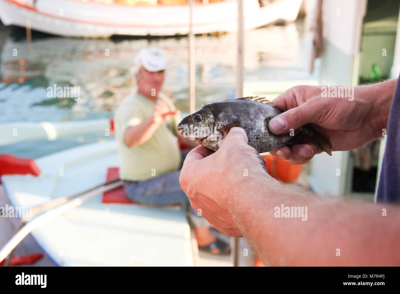 Un uomo con piccoli pesci nelle sue mani mentre un altro pescatore greco sta guardando Foto Stock