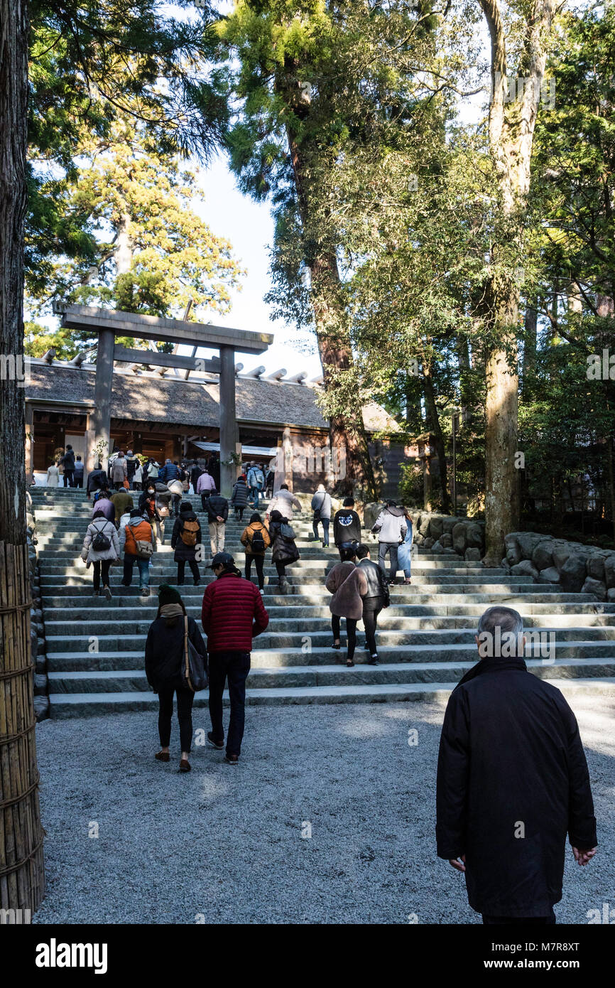Giappone, Ise Grand Santuario Naiku, santuario interiore. Torii gate e passi al santuario di legno, con molte persone. Foto Stock