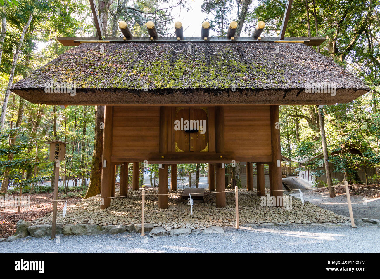 Giappone, Ise Grand Santuario Naiku, santuario interiore. Originale stile giapponese architettura, piccole in legno sala rialzata sul sentiero di pellegrini. Foto Stock
